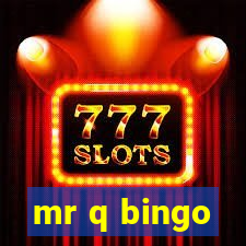 mr q bingo