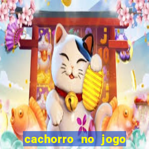 cachorro no jogo do bicho