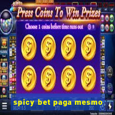 spicy bet paga mesmo