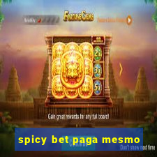 spicy bet paga mesmo