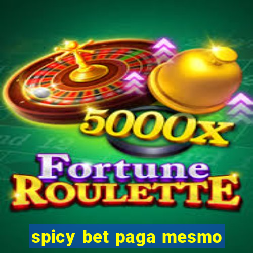 spicy bet paga mesmo