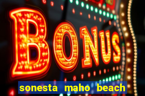 sonesta maho beach resort casino and spa st martin