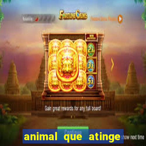 animal que atinge 230 decib茅is