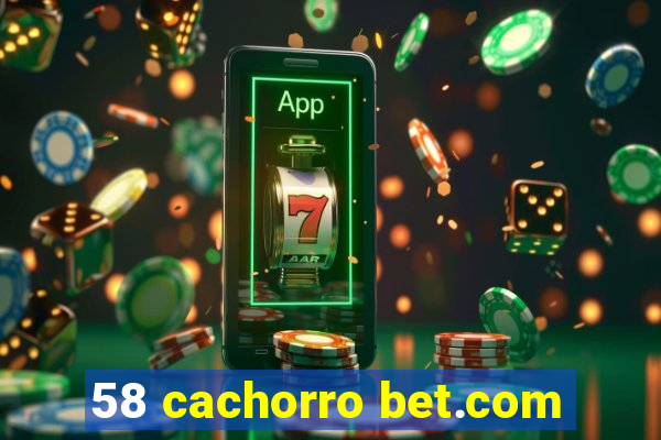 58 cachorro bet.com