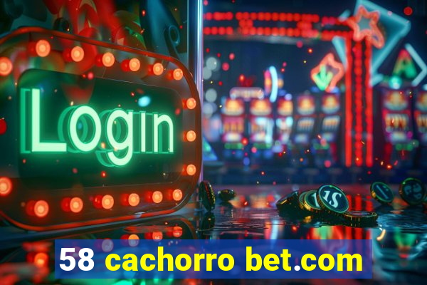 58 cachorro bet.com