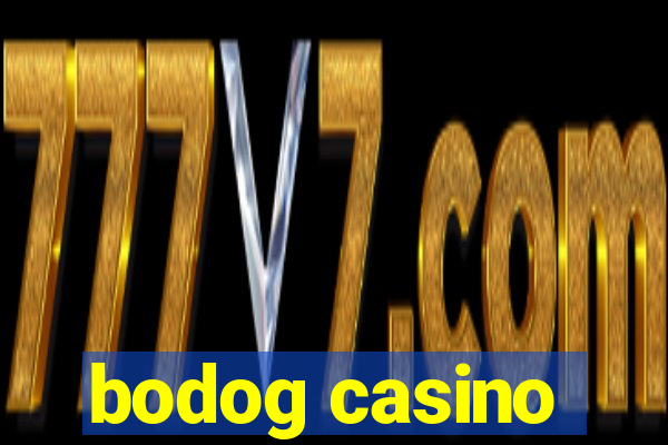 bodog casino