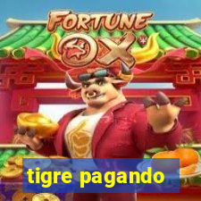 tigre pagando