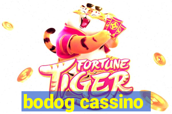 bodog cassino