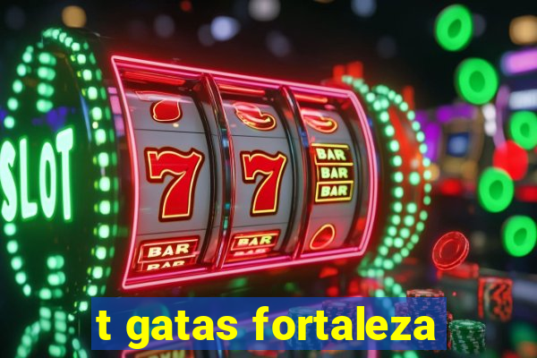 t gatas fortaleza