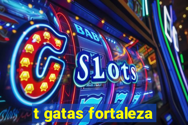 t gatas fortaleza