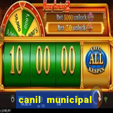 canil municipal porto alegre