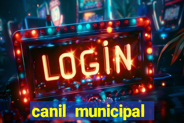 canil municipal porto alegre