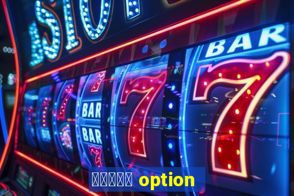 オプション option