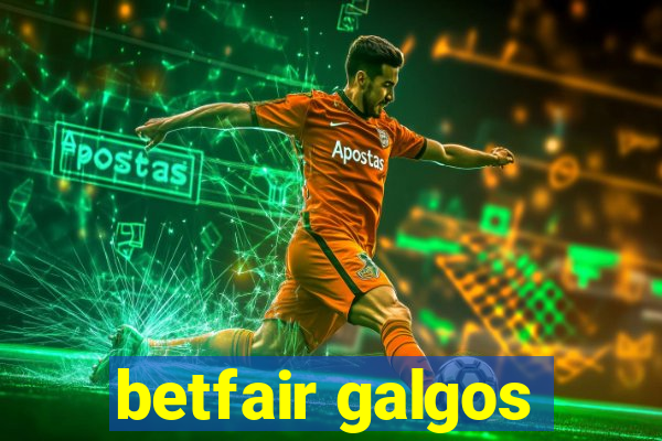 betfair galgos