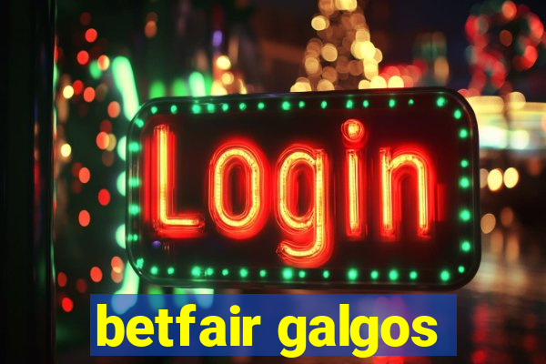 betfair galgos