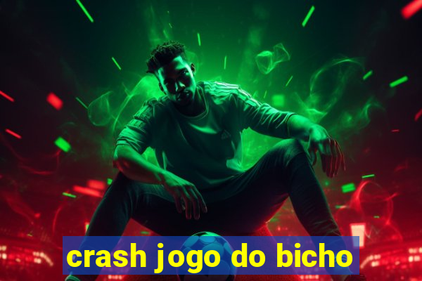 crash jogo do bicho