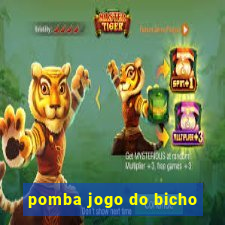 pomba jogo do bicho