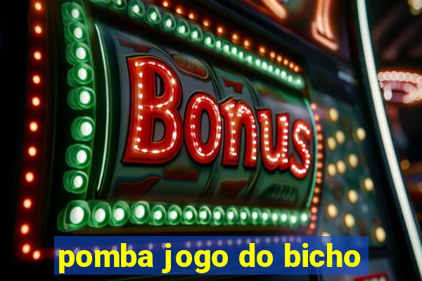 pomba jogo do bicho