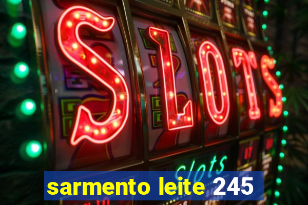 sarmento leite 245