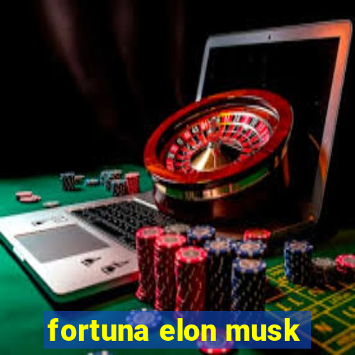 fortuna elon musk