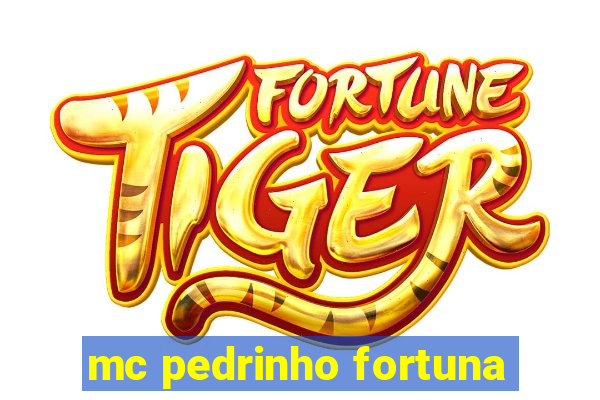 mc pedrinho fortuna