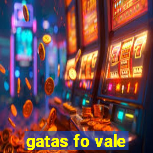 gatas fo vale