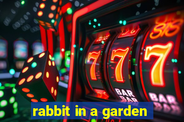 rabbit in a garden