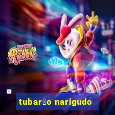 tubar茫o narigudo