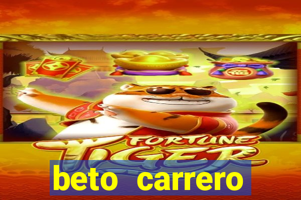 beto carrero cidades proximas