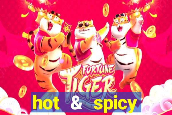 hot & spicy megaways slot