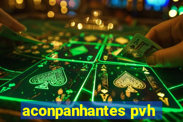 aconpanhantes pvh