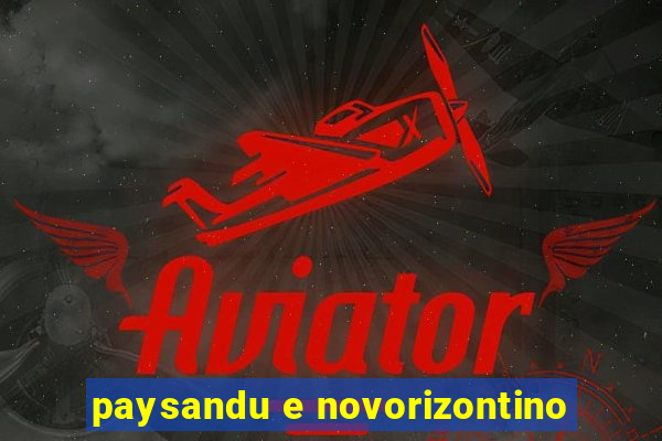 paysandu e novorizontino