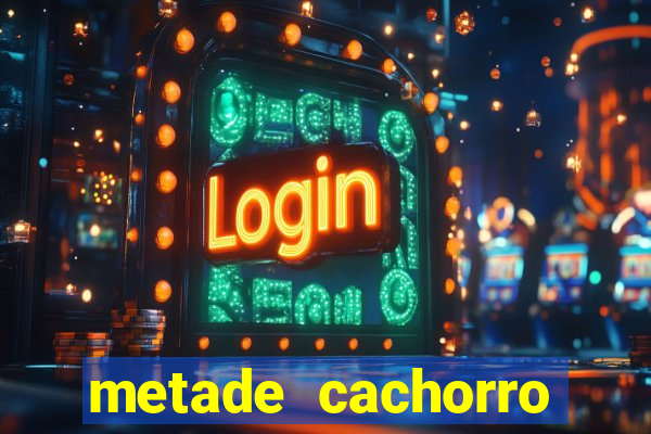 metade cachorro metade gato