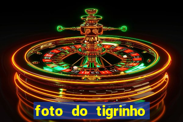 foto do tigrinho do jogo